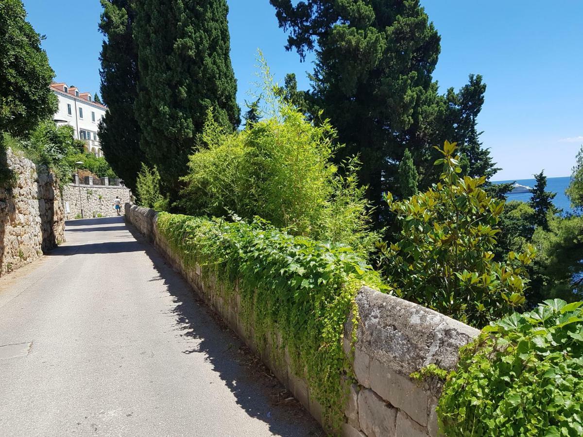 Villa Palmera Dubrovnik Exterior foto